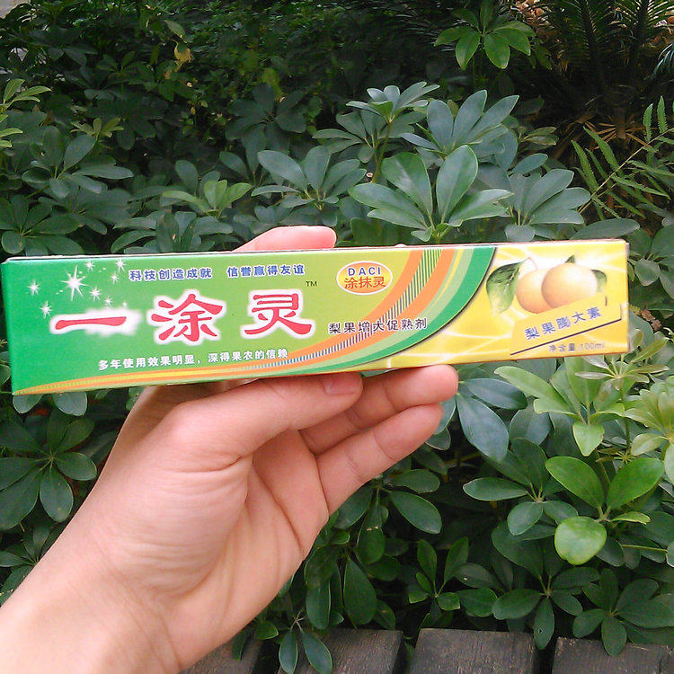 梨子专用膨大剂 梨果膨大素调节剂 一涂灵一抹灵果大汁多肉脆可口
