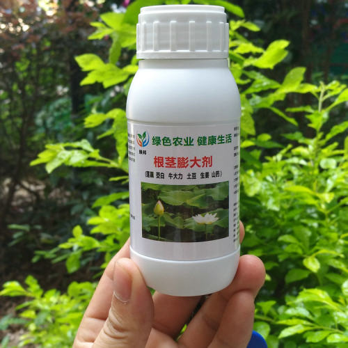 根茎膨大剂块茎丰产素 莲藕茭白牛大力山药生姜叶面喷施肥
