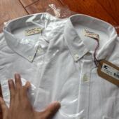 水洗磨毛 衣打底 衬衫 50欧 男女基础纯白色纯棉牛津纺休闲长袖