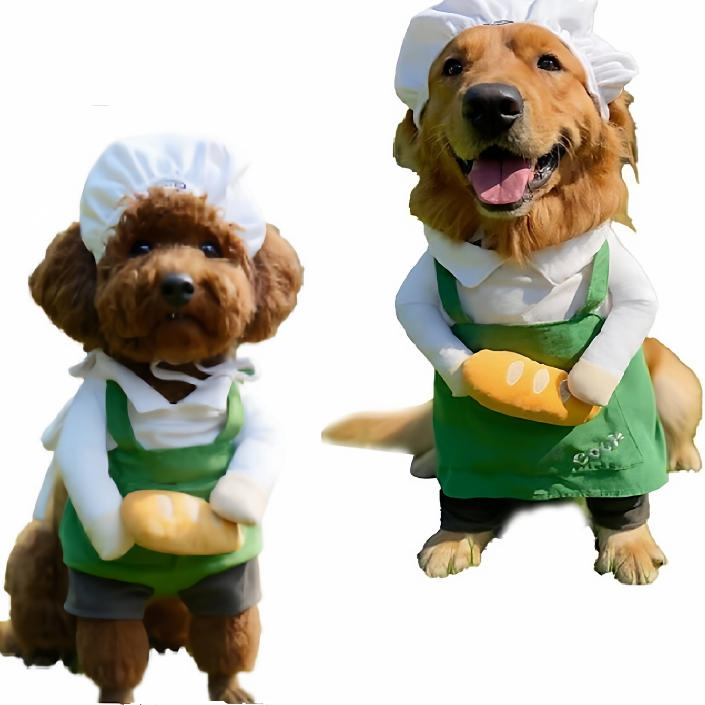 万圣节狗狗厨师装直立搞怪衣服