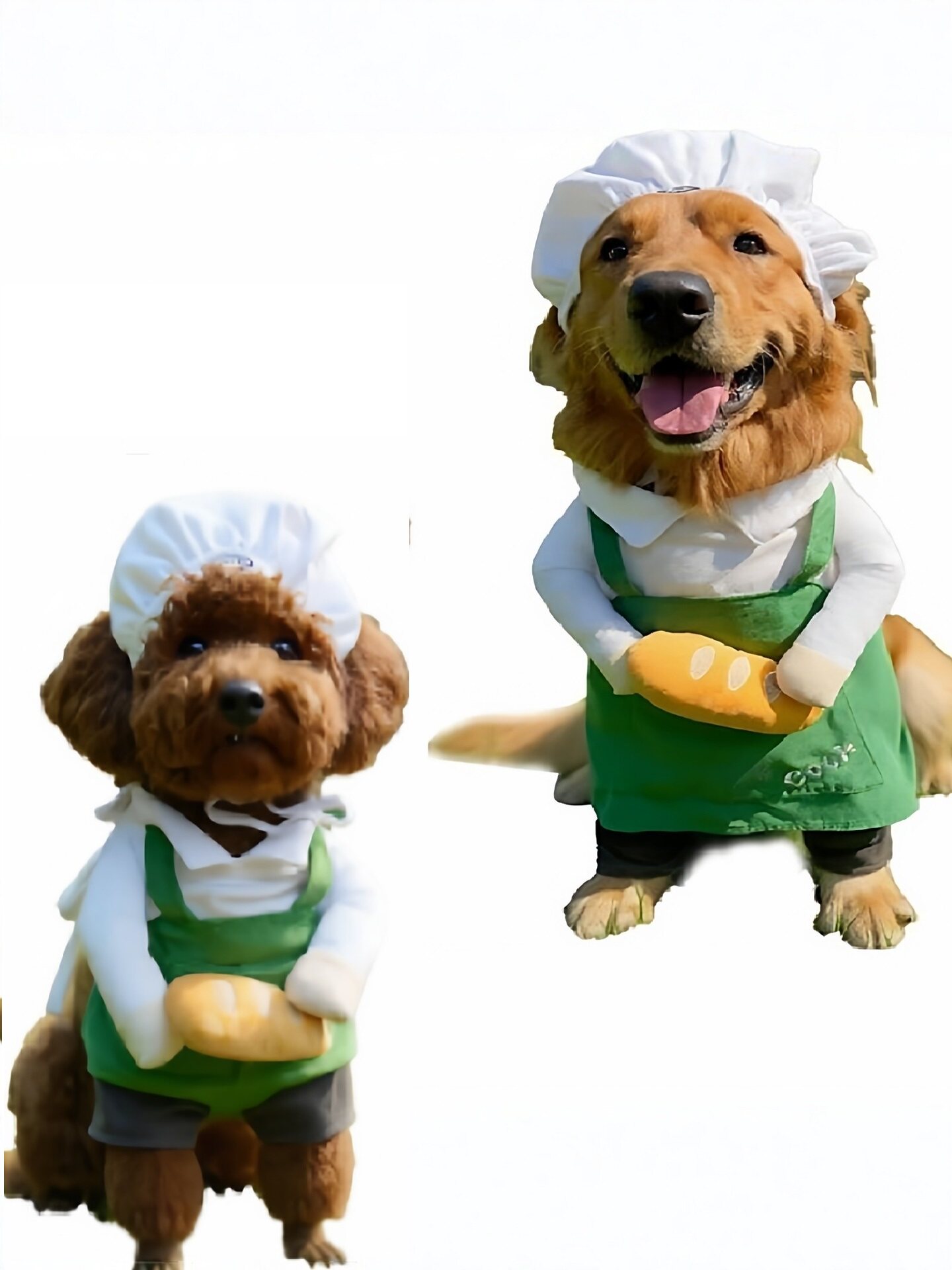 Halloween Chef Costumes for Small and Large Dogs, Cats, Teddy Bears, French Bulldogs, Golden Retrievers, and Pets - Funny Costumes