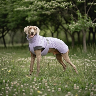 宠物衣服秋冬中大型犬威马金毛可卡宠物反光保暖防风冲锋马甲棉衣
