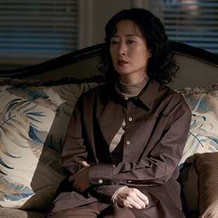 欧洲隐身 衬衫 上衣春秋翻领长袖 衬衣女衣服 名字刘敏涛葛文君同款