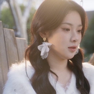 原版短剧攀高枝刘夕语温时宜同款耳环女轻奢高级感设计气质耳饰潮