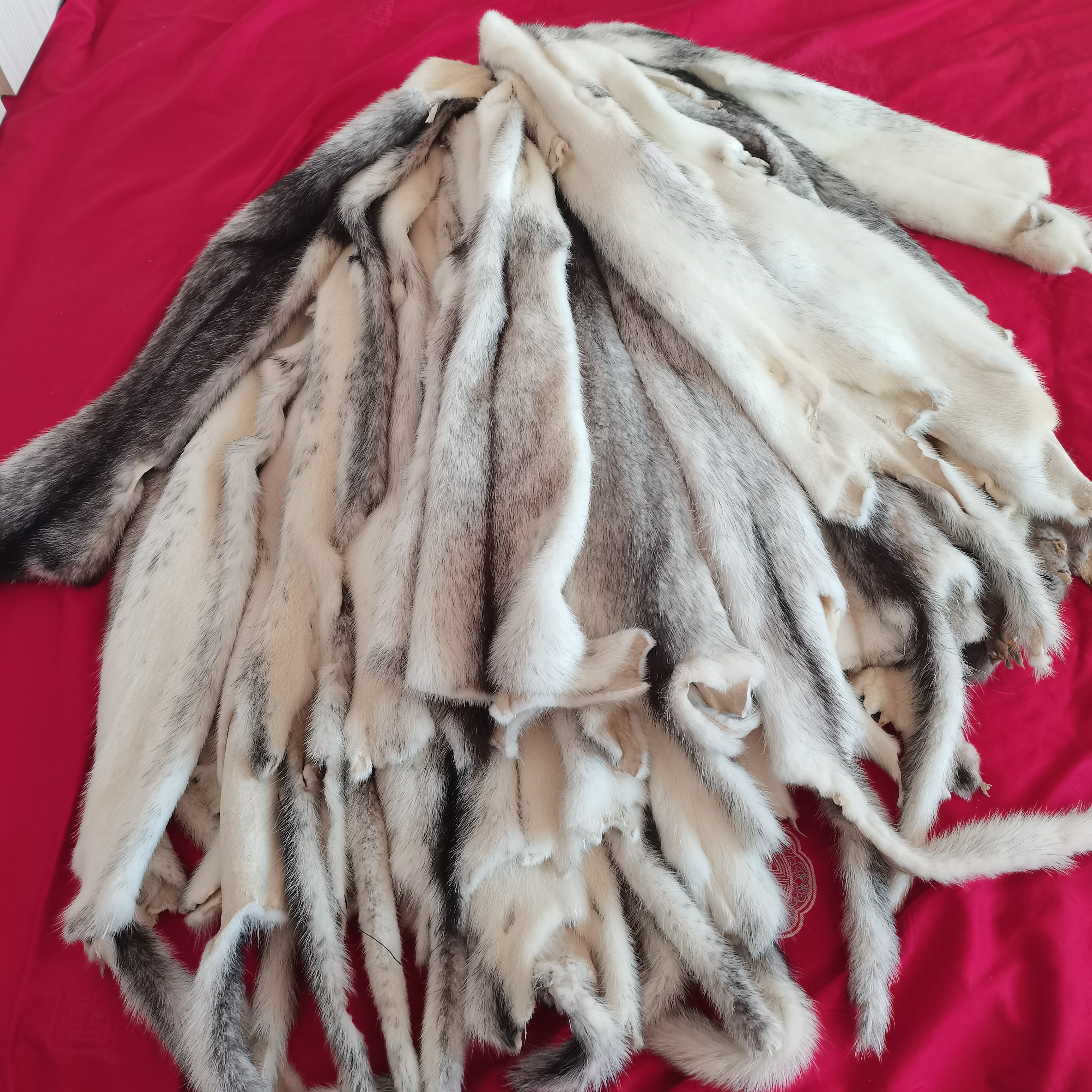 十字貂整张微残次水貂皮原料手工皮料修补服装内胆围脖护膝 辅料