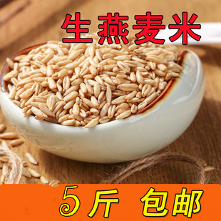 新货生燕麦米农家自产五谷杂粮裸燕麦仁粒500g散装燕麦米生燕麦