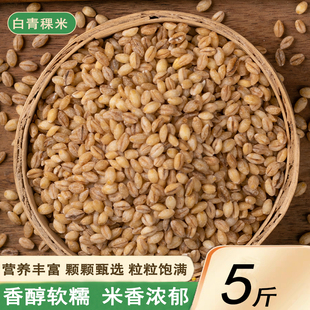 白青稞米新货蓝青稞米精选青藏高原青稞米五谷杂粮主食米生青稞