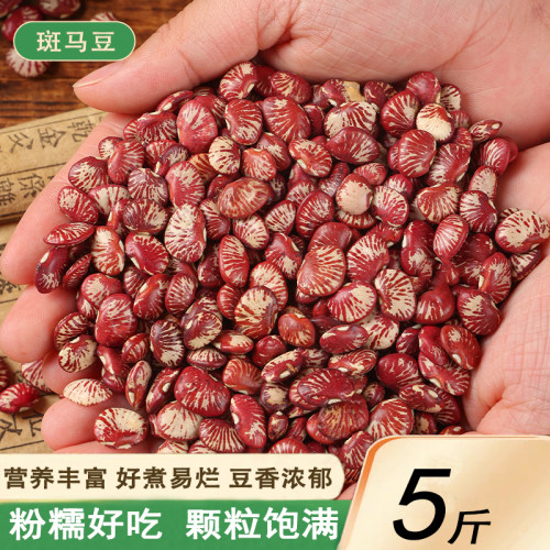 新货斑马豆5斤农家自种荷花豆