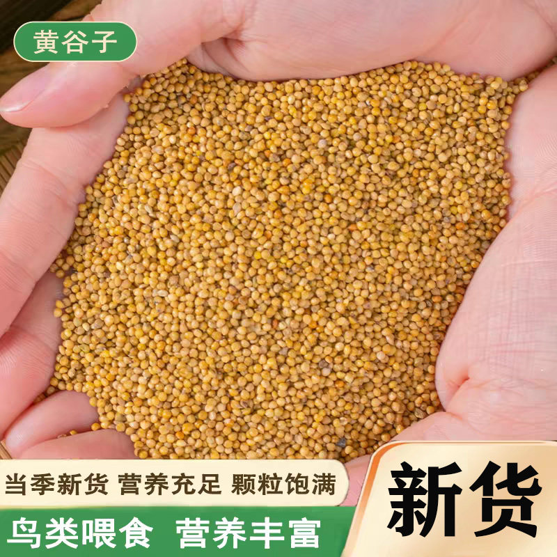 鹦鹉粮带壳黄谷子鸟粮鸟食芦丁鸡饲料虎皮牡丹玄风横班有壳谷