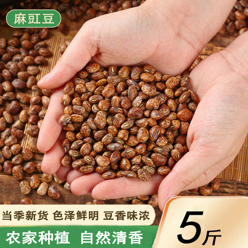 新货麻豇豆农家自种五谷杂粮