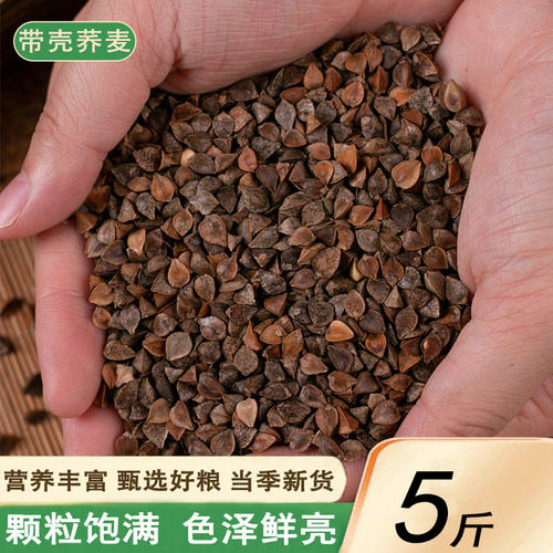 新荞麦带壳荞麦鸽子粮食鹦鹉鸟食