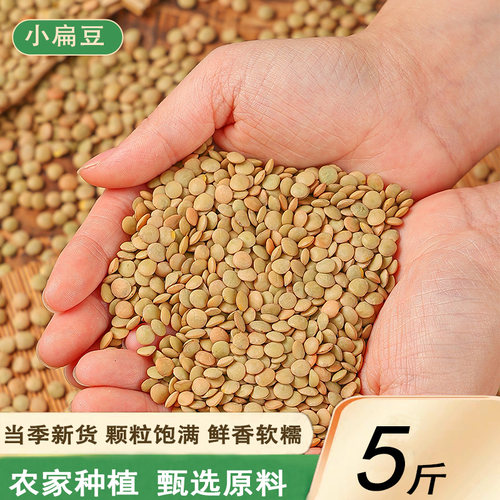 新小扁豆5斤甘肃特产农家