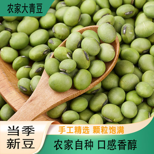 大青豆农家自产杂粮豆制品大粒大青豆种粗粮青皮豆种新鲜青豆青芯
