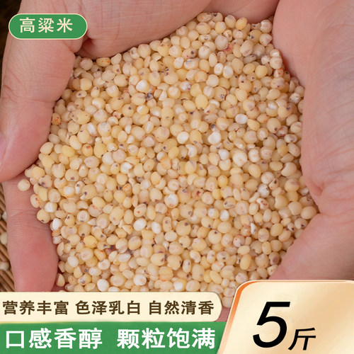 高粱米新货5斤农家红高粱米脱壳