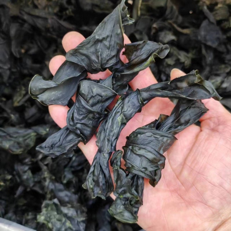 广东汕尾海带结干货无沙海带头海带干货海带凉拌海草藻类海味干货