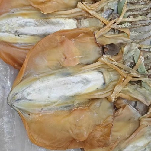 汕尾本港墨鱼干货特级2~0.3斤/只