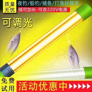 鱿鱼海钓带鱼诱鱼灯翘嘴水下钓鱼灯白强光12V超亮防水聚鱼集鱼灯
