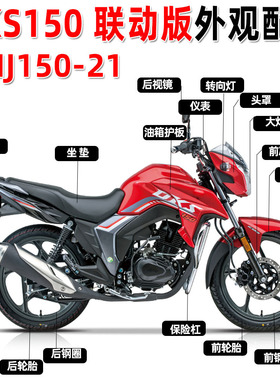 适用于豪爵DKS150大灯HJ150-21摩托车头罩 大灯 后视镜减震器外壳