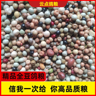全豆鸽粮职业蛋白转换粮