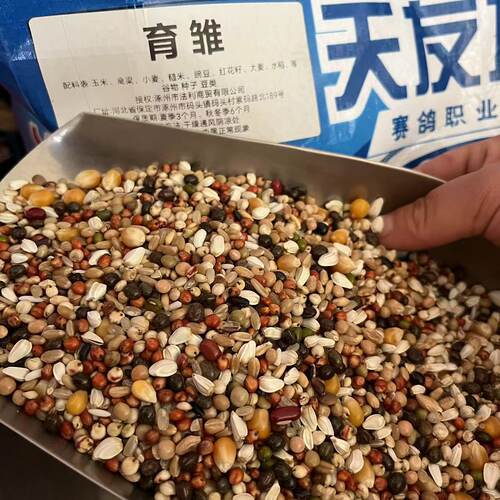 天友万家鸽粮育雏鸽粮