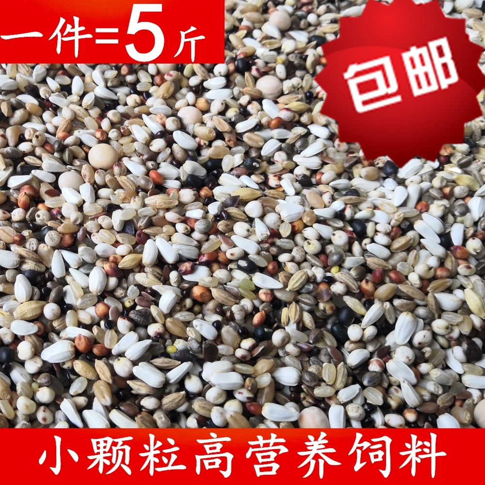 鸽粮营养料鸽子饲料幼鸽信鸽通用