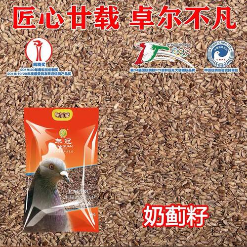 年冠奶蓟籽水飞蓟籽喂鸽子
