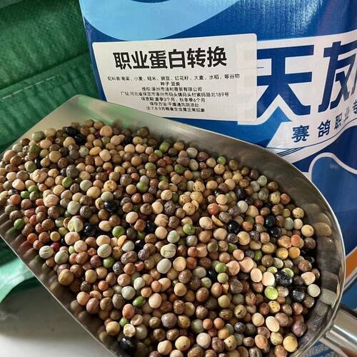 天友万家鸽粮职业蛋白转换全豆粮