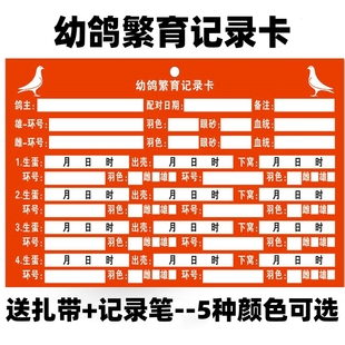 信鸽用品用具幼鸽记录卡记录册血统记录卡鸽子配对登记卡幼鸽卡