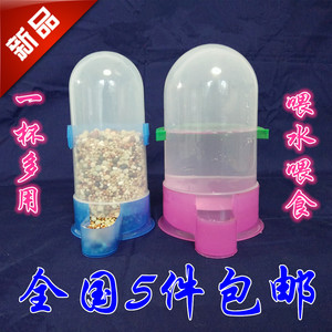 鸽子用品用具水壶厚自动饮水器喂鸽子的喂食器防撒鸽子喝水壶包邮