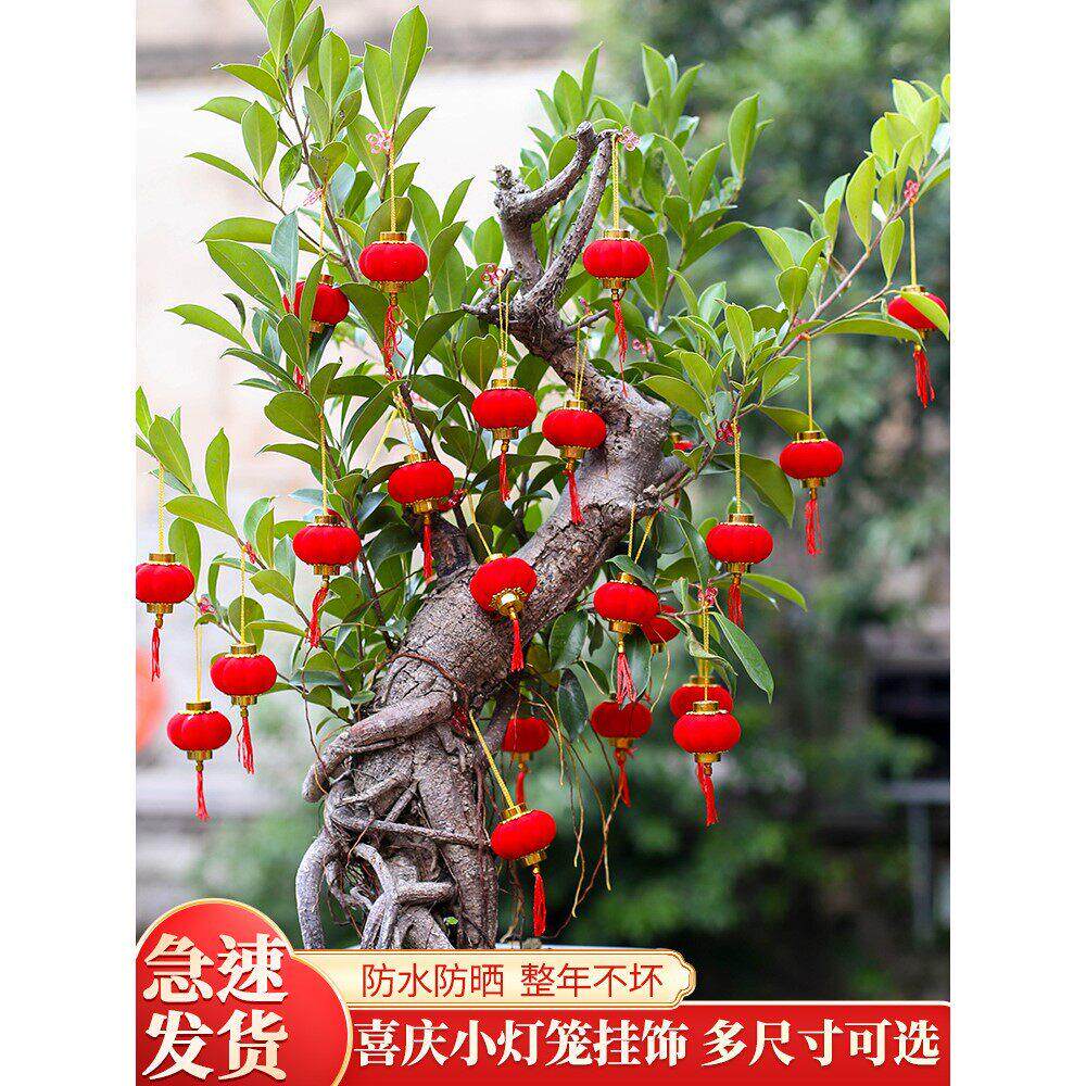 小灯笼挂饰树上盆栽乔迁之喜装饰发才树转蕴富贵竹家里盆景小挂件