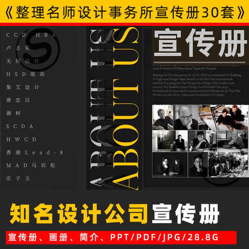 知名设计公司宣传册 画册 项目简介 作品集 可编辑 ppt ccd 琚宾