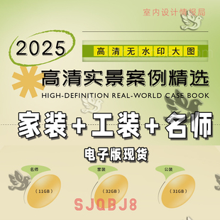 2025高清实景案例精选 室内设计联盟 家装设计工装名师作 现货发