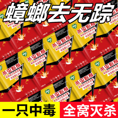 高效蟑螂药家用一窝端厨房非无毒灭除蟑神器专用杀蟑粉剂胶饵护箭