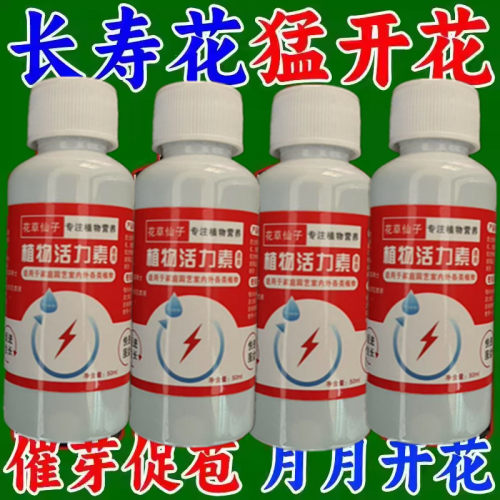 长寿花专用肥催花肥花蕾花苞开花延长花期液体肥长寿花盆栽营养液