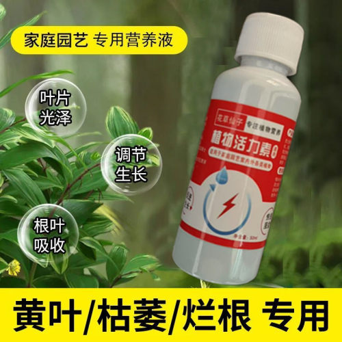 【四季翠绿】富贵竹专用营养液叶子发黄促生根液植物水培专用肥料