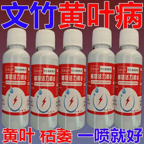 文竹营养液促生长催嫩芽肥料治叶子发黄枯瘦干尖烂根免稀释专用