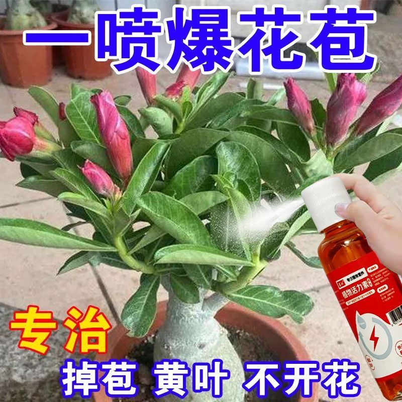 一喷爆盆】沙漠玫瑰营养液专治黄叶干尖不开花催新芽壮苗专用肥料