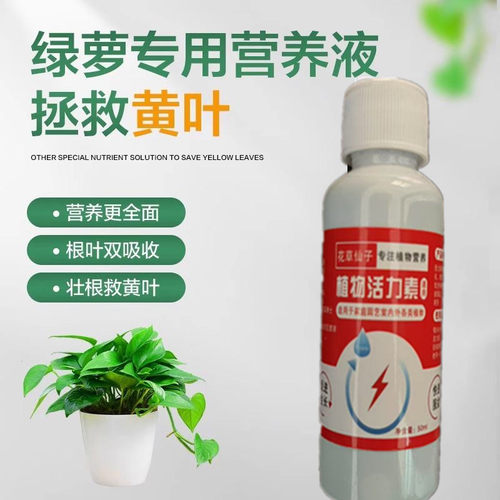 绿萝营养液免稀释通用型治黄叶水培土培花植物专用花肥料家用园艺