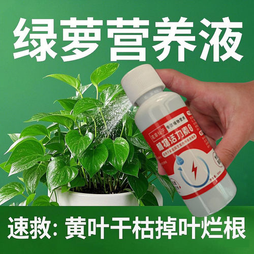 绿萝营养液专用肥料家用植物盆栽吊兰水培通用型绿箩营业液叶面肥