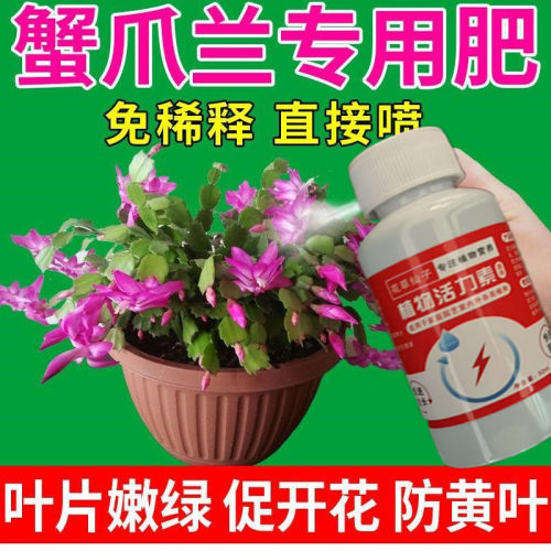 蟹爪兰专用肥料养花肥料蟹爪兰四季开花营养液免稀释养花专用肥料
