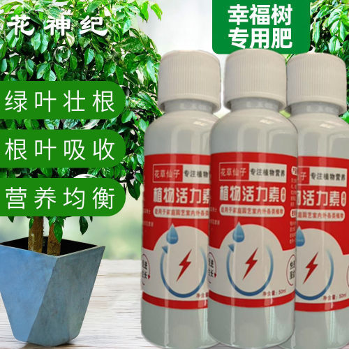 【叶枯急救】幸福树营养液防枯枝落叶促新芽生根壮苗免稀释专用肥