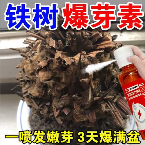 铁树专用营养液促生长防黄叶枯萎叶斑烂根径杆黄液体肥营养液