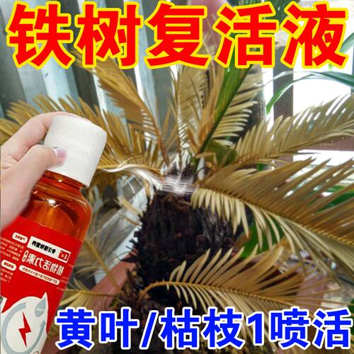 铁树专用营养液促发芽生根助生长急救叶子发黄干枯卷叶落叶液体肥