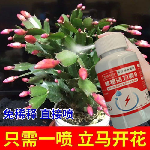 花营养液蟹爪兰肥料养花专用肥料家用开花爆盆催花肥营植物再生剂