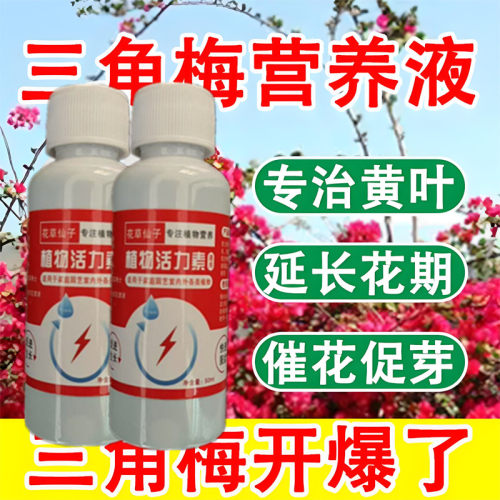 三角梅肥料专用肥 植物营养液 梅花家用花卉养花促开花