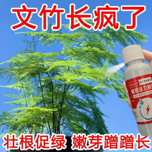 免稀释文竹专用肥营养液家用盆栽养花植物通用液体肥水土培花肥料
