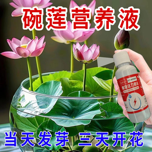 碗莲专用营养液荷花睡莲水培植物催生根发芽催开花防黄叶烂根肥料
