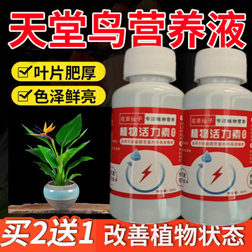 天堂鸟营养液专用肥治黄叶卷边烂根急救家用盆栽鹤望兰花肥料养护