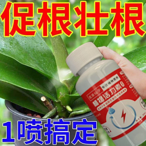 蝴蝶兰专用营养液促开花防黄叶有机肥家用盆栽植物通用型液体肥