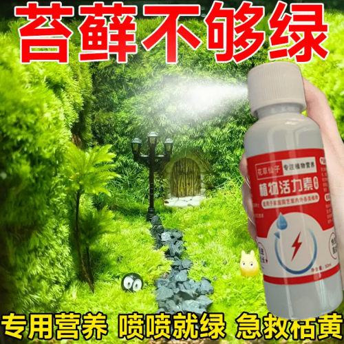 苔藓营养液微景观造景植物治黄叶干枯增绿促生长免稀释专用营养肥